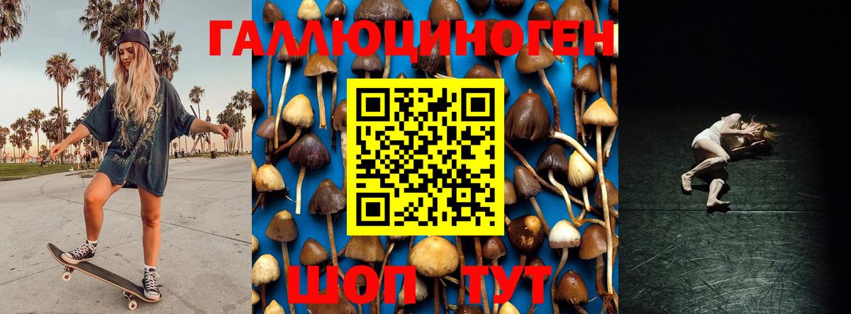 Псилоцибиновые грибы прущие грибы  Псилоцибиновые грибы прущие грибы  Гусиноозёрск  Вход с VPN 